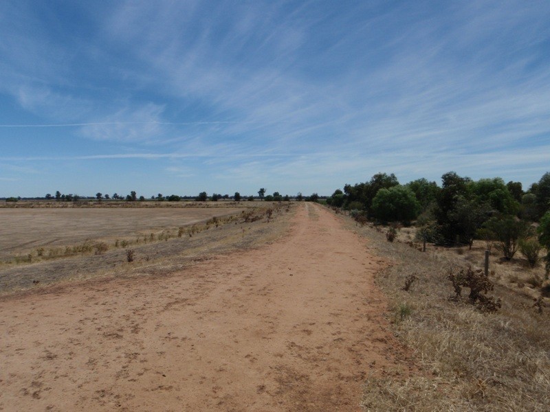 139 Willows Road, Jerilderie NSW 2716