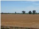139 Willows Road, Jerilderie NSW 2716