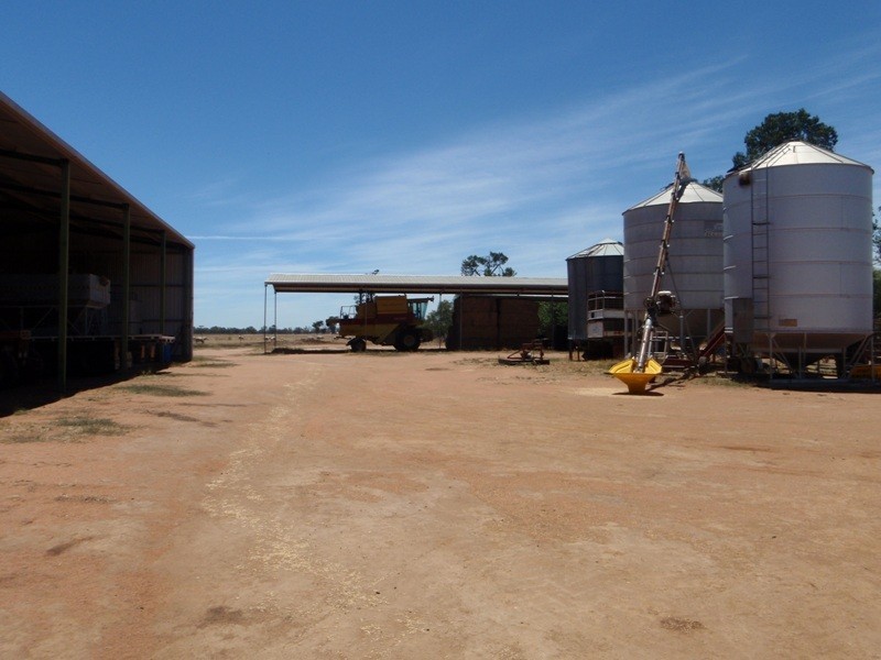 139 Willows Road, Jerilderie NSW 2716