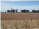139 Willows Road, Jerilderie NSW 2716