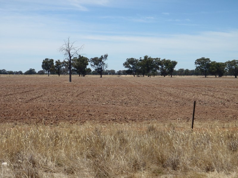 139 Willows Road, Jerilderie NSW 2716