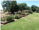 139 Willows Road, Jerilderie NSW 2716
