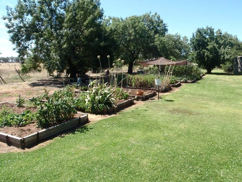 139 Willows Road, Jerilderie NSW 2716