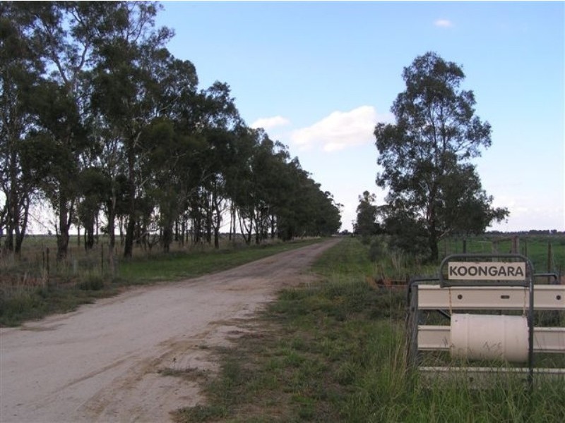 Jerilderie NSW 2716