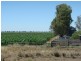 Jerilderie NSW 2716