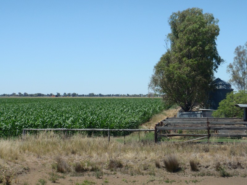 Jerilderie NSW 2716
