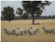 Oaklands NSW 2646