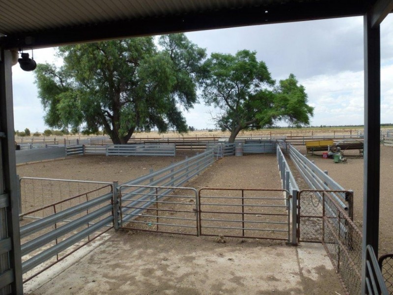 Oaklands NSW 2646