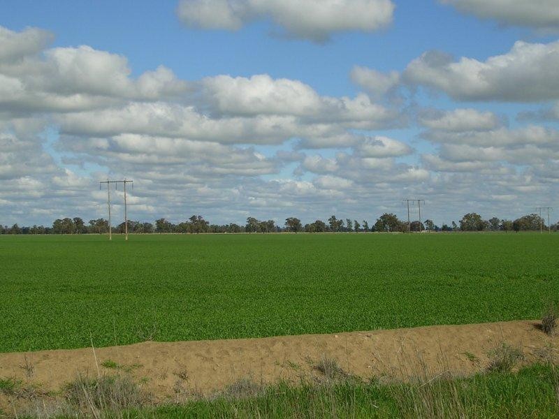 Oaklands NSW 2646