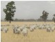 Oaklands NSW 2646