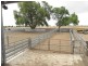 Oaklands NSW 2646