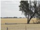 Oaklands NSW 2646