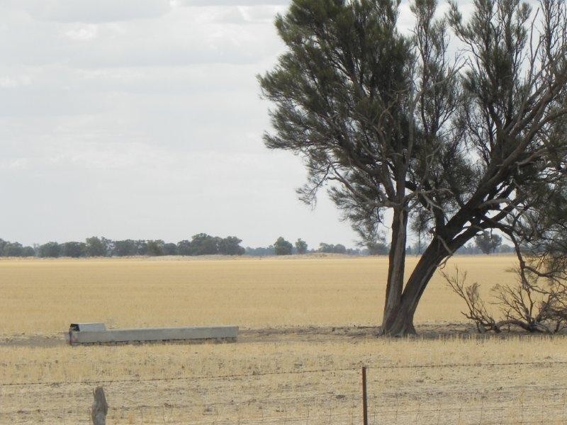 Oaklands NSW 2646