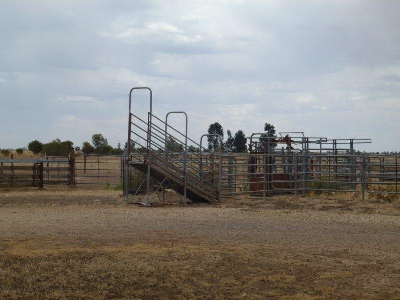 Oaklands NSW 2646