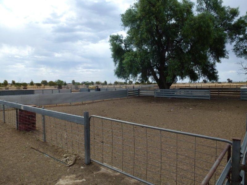 Oaklands NSW 2646