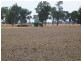 Oaklands NSW 2646