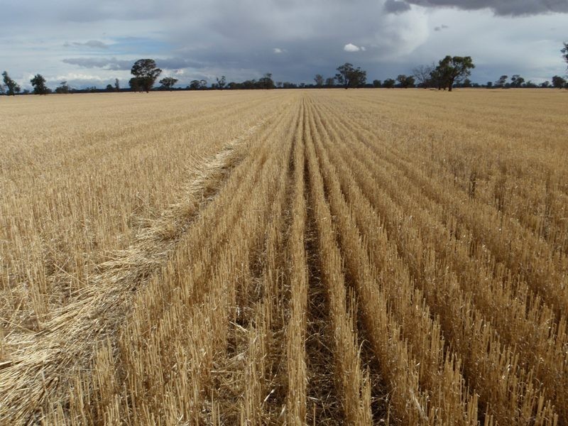 Bull Plain Road, Rennie NSW 2646