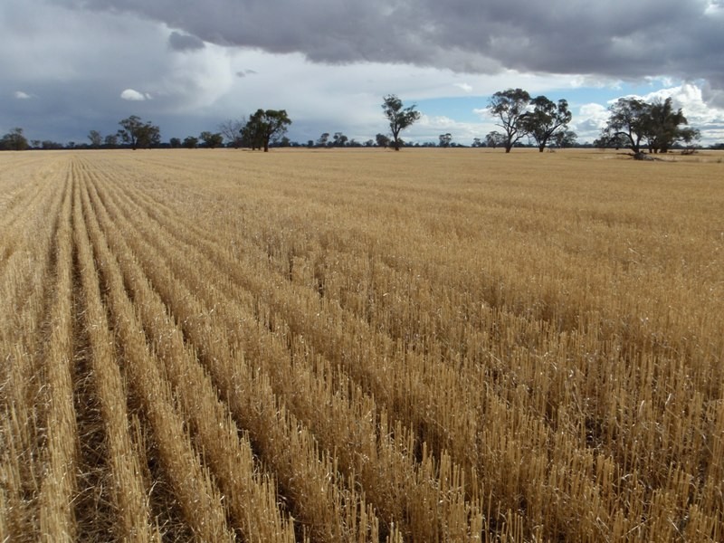 Bull Plain Road, Rennie NSW 2646