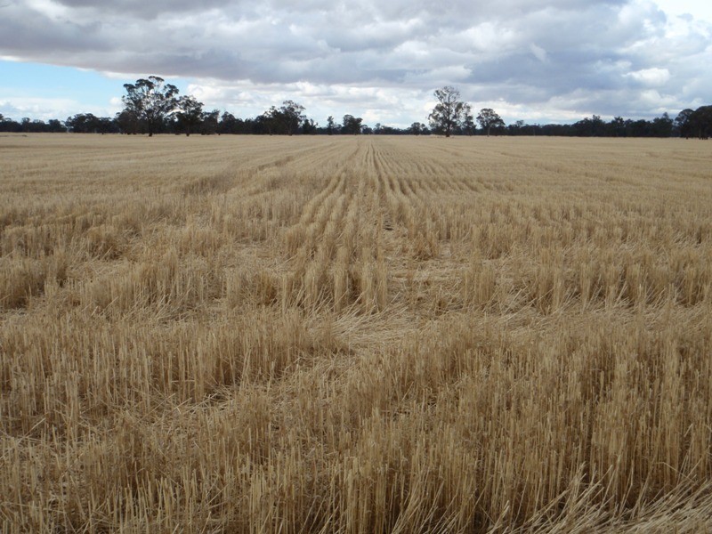 Bull Plain Road, Rennie NSW 2646