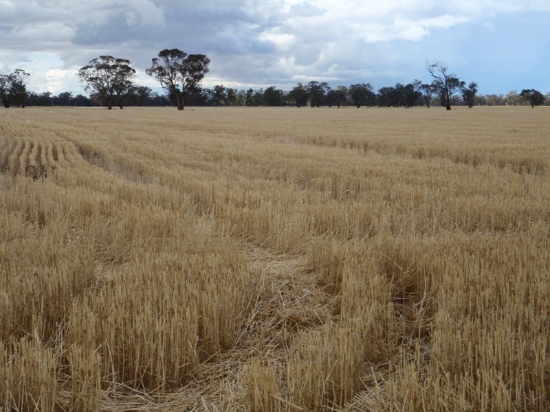 Bull Plain Road, Rennie NSW 2646