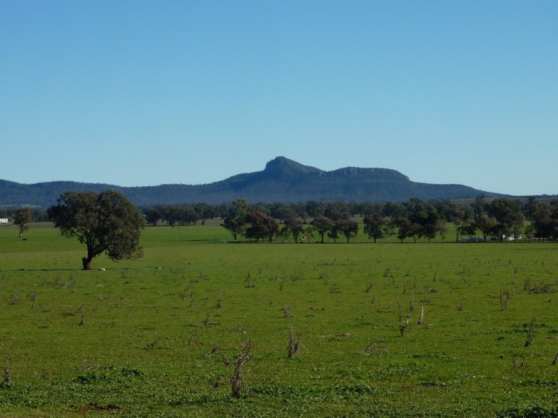 5232 Olympic Way The Rock, Wagga Wagga NSW 2650