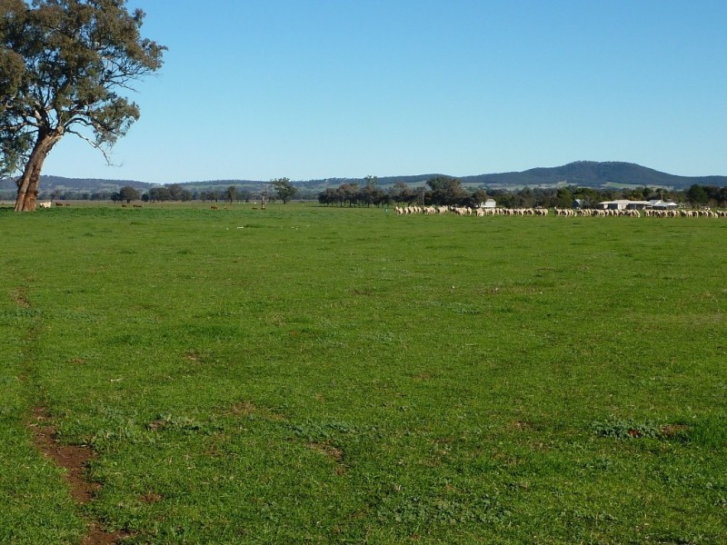 5232 Olympic Way The Rock, Wagga Wagga NSW 2650