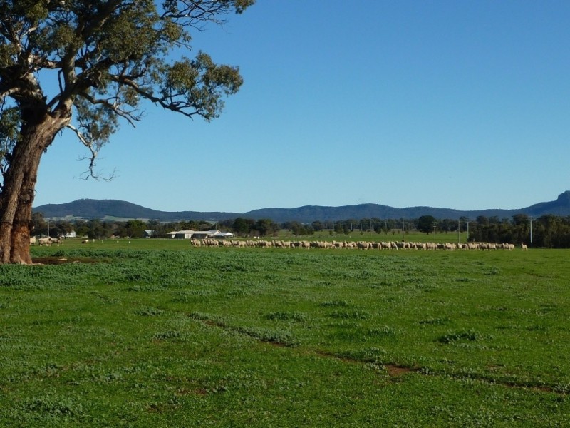 5232 Olympic Way The Rock, Wagga Wagga NSW 2650