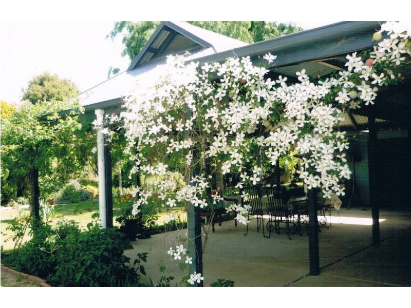 5232 Olympic Way The Rock, Wagga Wagga NSW 2650