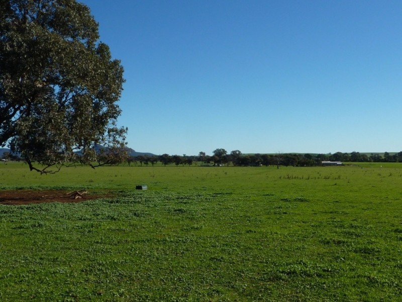 5232 Olympic Way The Rock, Wagga Wagga NSW 2650