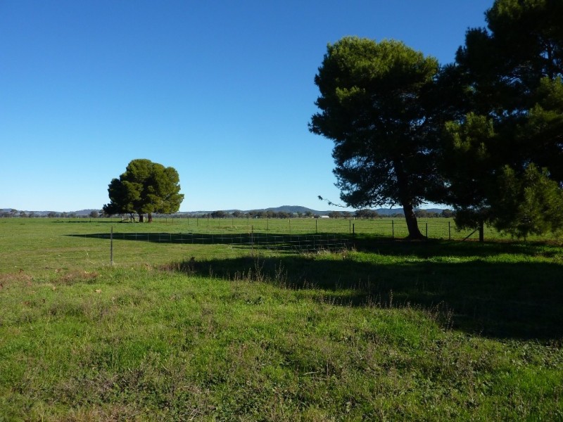 5232 Olympic Way The Rock, Wagga Wagga NSW 2650