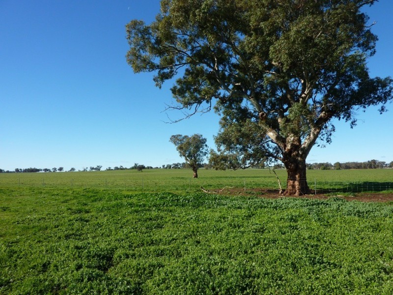 5232 Olympic Way The Rock, Wagga Wagga NSW 2650