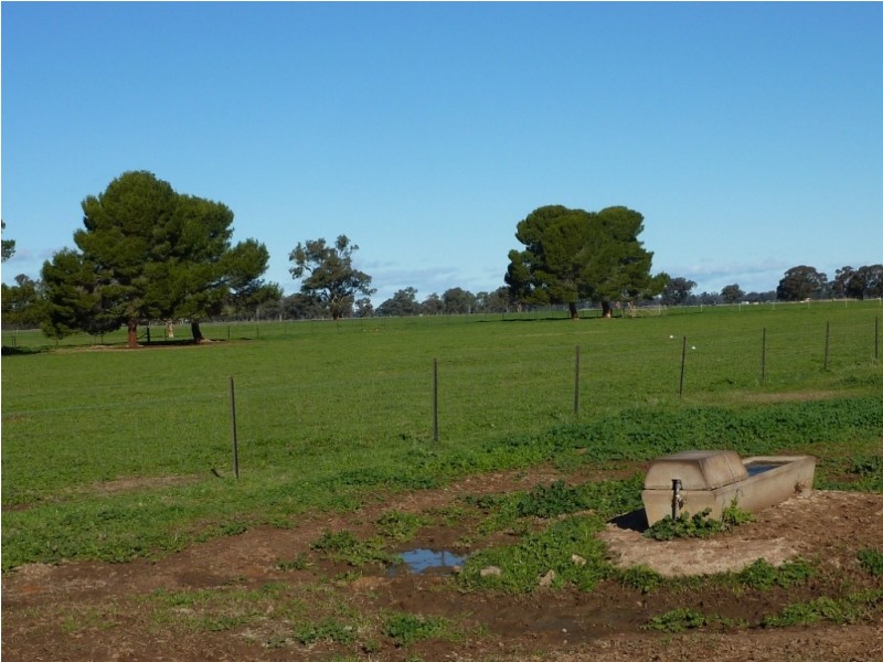 5232 Olympic Way The Rock, Wagga Wagga NSW 2650