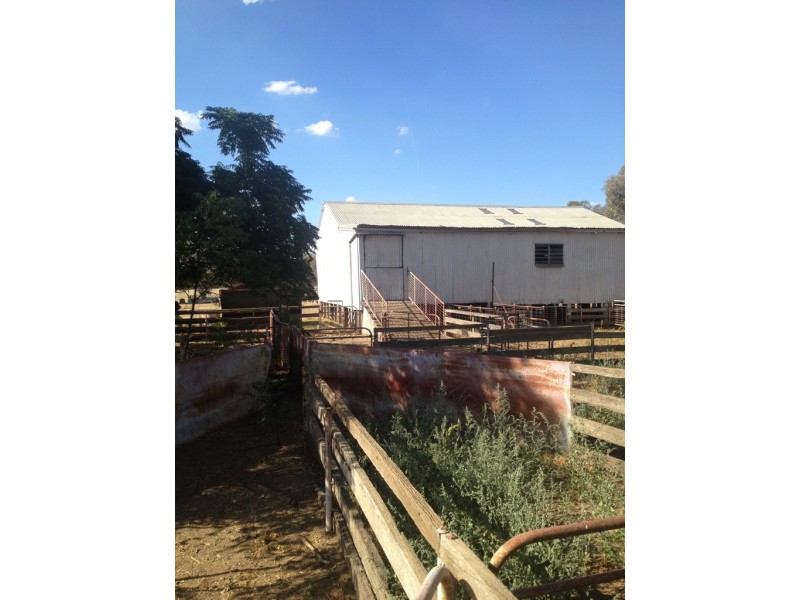 5300 Olympic Way The Rock, Wagga Wagga NSW 2650