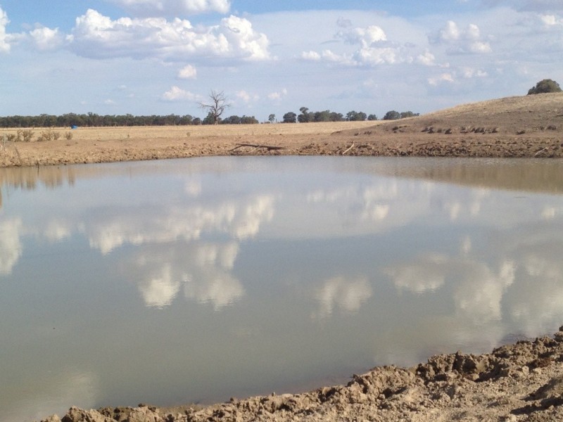 5300 Olympic Way The Rock, Wagga Wagga NSW 2650