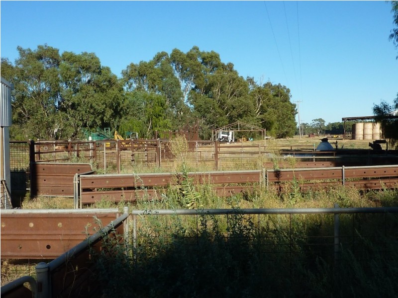 RMB 133 Old Narrandera Road, Wagga Wagga NSW 2650
