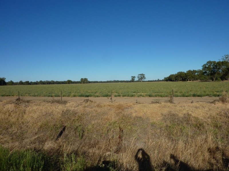 RMB 133 Old Narrandera Road, Wagga Wagga NSW 2650