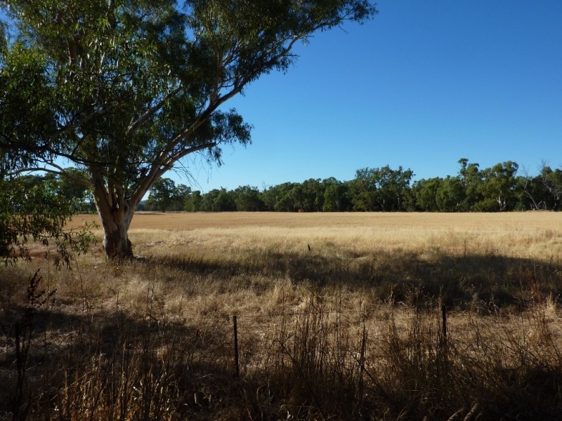 RMB 133 Old Narrandera Road, Wagga Wagga NSW 2650