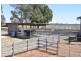 “Kismet West” 600 Riverina Highway, Corowa NSW 2646