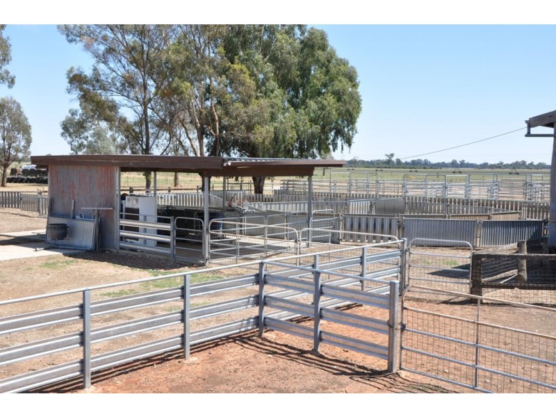 “Kismet West” 600 Riverina Highway, Corowa NSW 2646