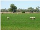 “Kismet West” 600 Riverina Highway, Corowa NSW 2646