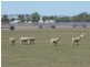 “Kismet West” 600 Riverina Highway, Corowa NSW 2646