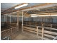 “Kismet West” 600 Riverina Highway, Corowa NSW 2646