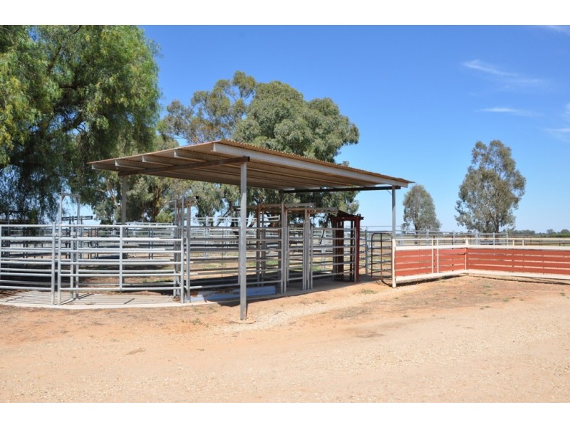 “Kismet West” 600 Riverina Highway, Corowa NSW 2646