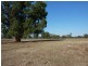 RMB 133 Old Narrandera Road, Wagga Wagga NSW 2650