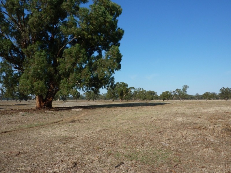 RMB 133 Old Narrandera Road, Wagga Wagga NSW 2650
