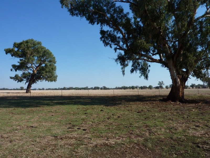 RMB 133 Old Narrandera Road, Wagga Wagga NSW 2650