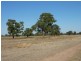RMB 133 Old Narrandera Road, Wagga Wagga NSW 2650