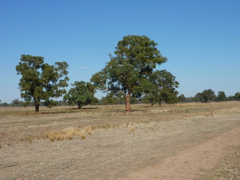 RMB 133 Old Narrandera Road, Wagga Wagga NSW 2650