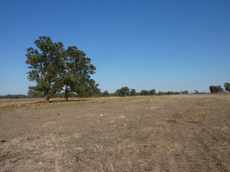 RMB 133 Old Narrandera Road, Wagga Wagga NSW 2650