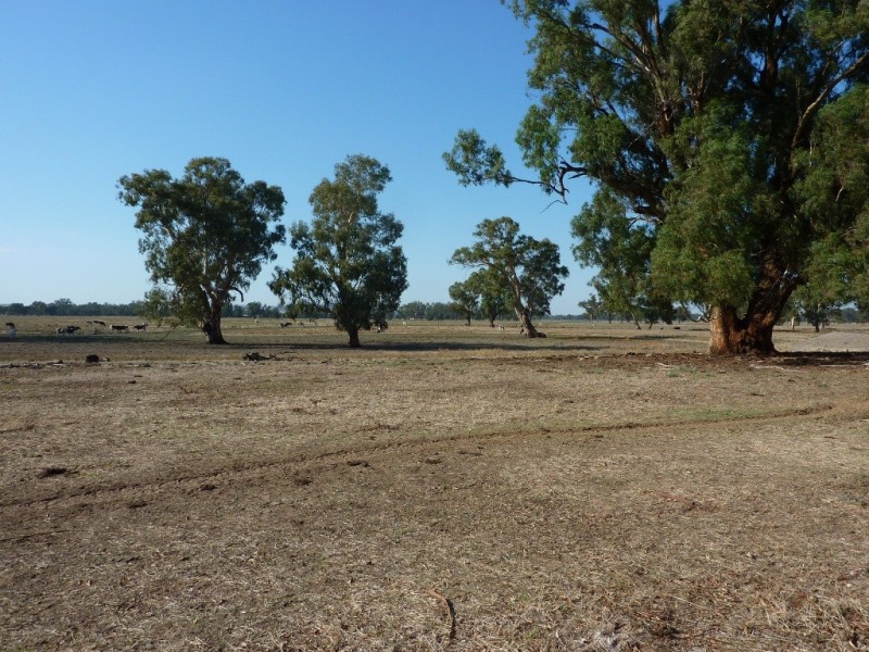 RMB 133 Old Narrandera Road, Wagga Wagga NSW 2650